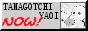 plain gray button saying 'tamagotchi yaoi NOW!' where the now is in red text and all caps. to the right is an image of tarakotchi and nyorotchi kissing